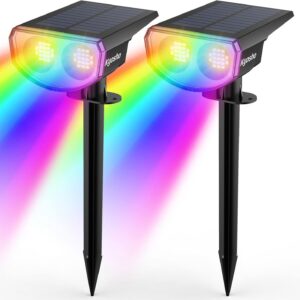 Solar Lights 2 Pack